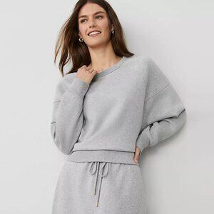 NWT Ann Taylor Raglan Sweatshirt